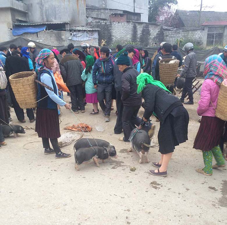 Meo Vac market, Ha Giang