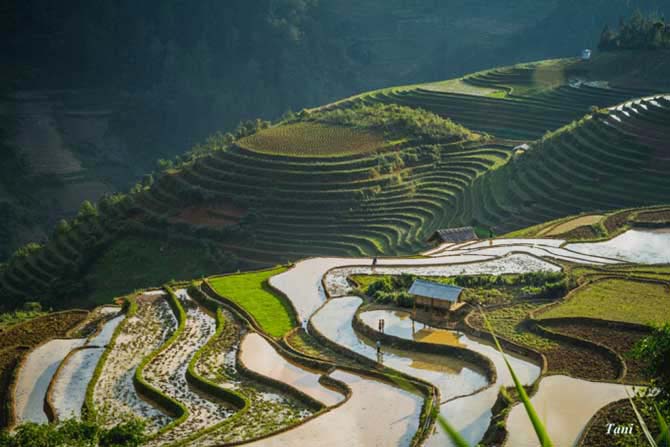 Mu Cang Chai, Vietnam's emerald mountain gem named among world’s most beautiful