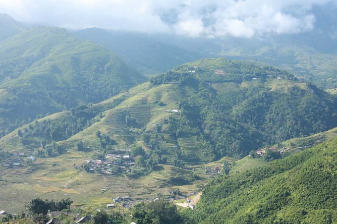 sapa