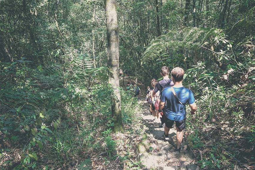 A trekking adventure into Bach Ma National Park