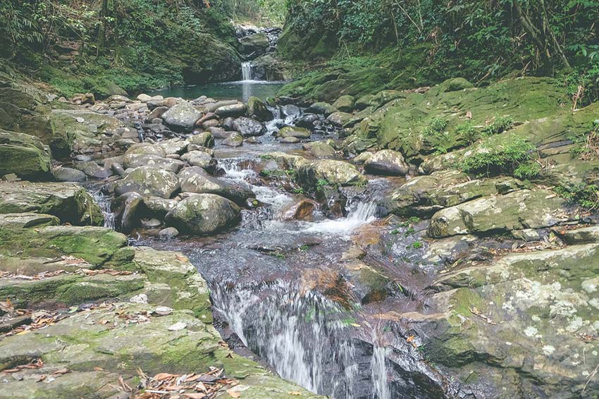 A trekking adventure into Bach Ma National Park