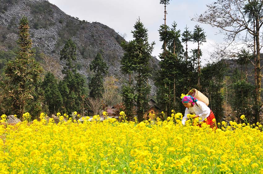 Heaven is a place on Vietnam’s northern plateau