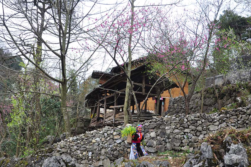 Heaven is a place on Vietnam’s northern plateau