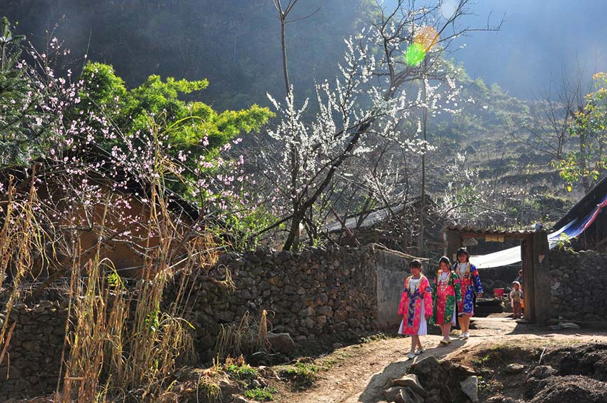 Heaven is a place on Vietnam’s northern plateau