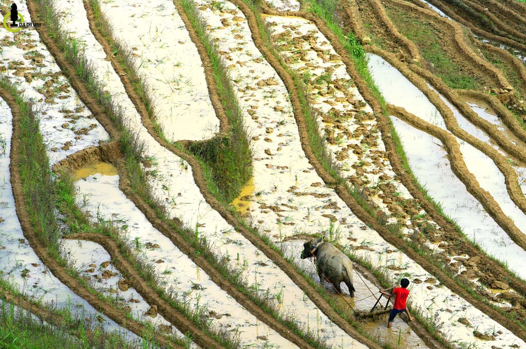 When rice fields sparkle in Vietnam’s northern highlands - Mu Cang Chai