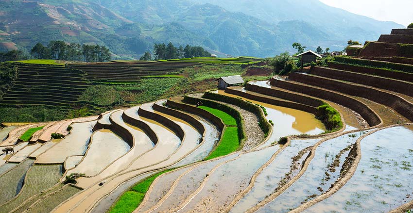 When rice fields sparkle in Vietnam’s northern highlands - Mu Cang Chai