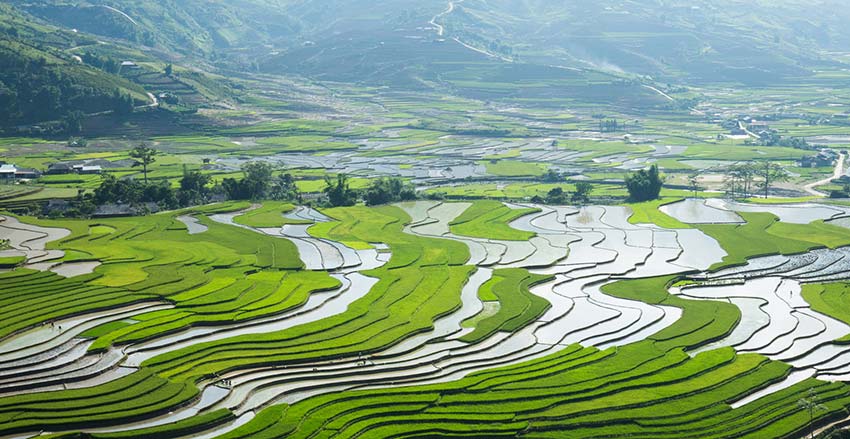 When rice fields sparkle in Vietnam’s northern highlands - Mu Cang Chai