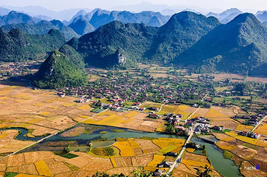 When paddy fields cast a golden glow in northern Vietnam