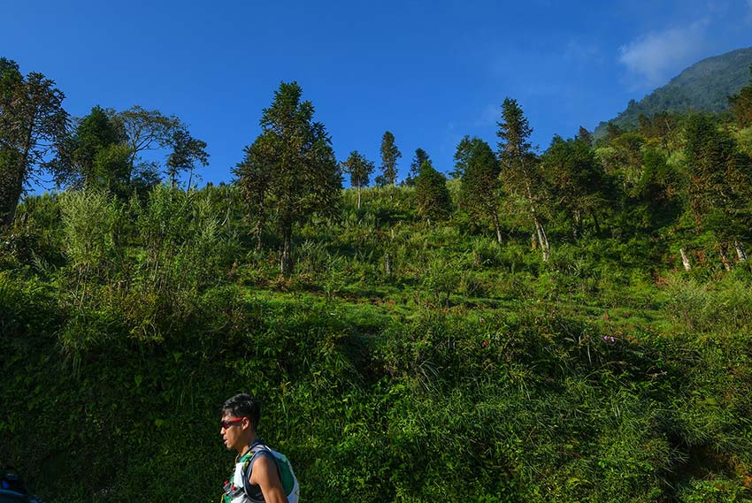 Vietnam Mountain Marathon runs through stunning landscapes