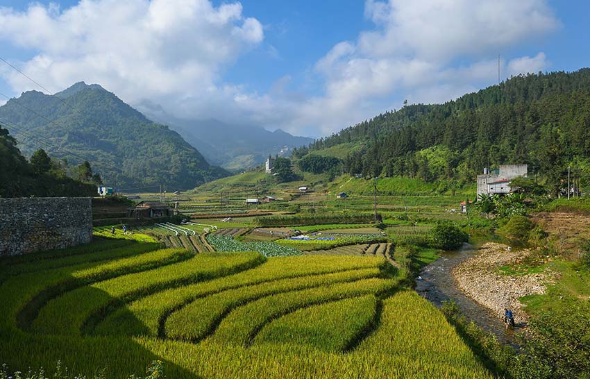 Vietnam Mountain Marathon runs through stunning landscapes