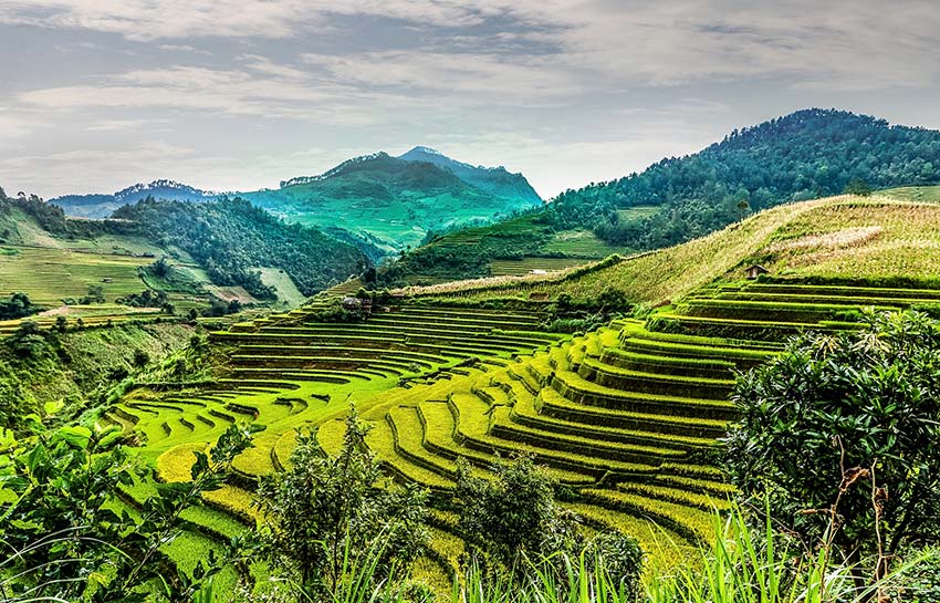 Five destinations with terrific terraced fields for an October visit in Vietnam
