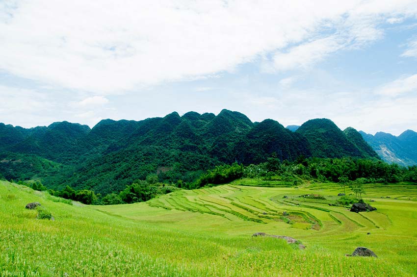 Five destinations with terrific terraced fields for an October visit in Vietnam