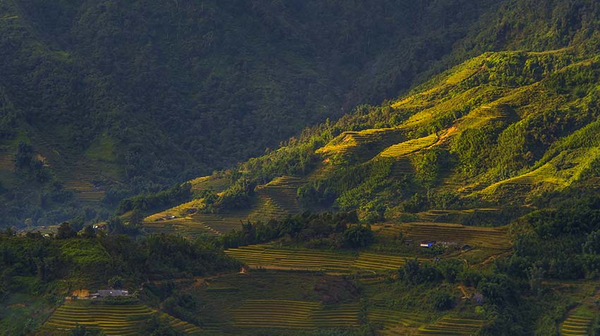 Five destinations with terrific terraced fields for an October visit in Vietnam