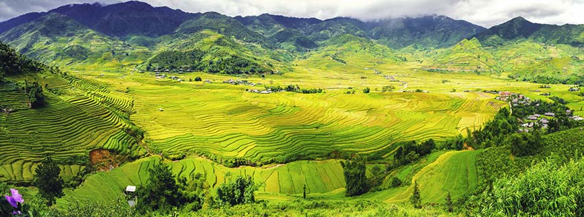 Five destinations with terrific terraced fields for an October visit in Vietnam