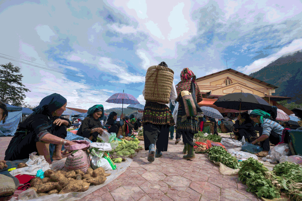 Five destinations with terrific terraced fields for an October visit in Vietnam