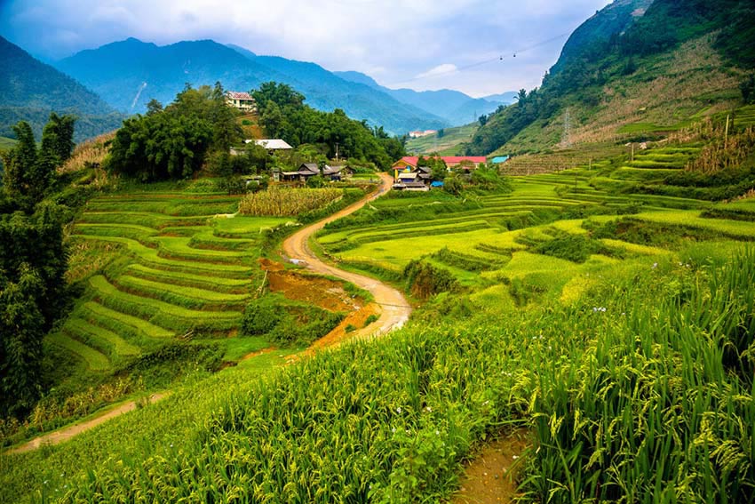 Hoang Lien Son mountain range, spectacle on the roof of Vietnam