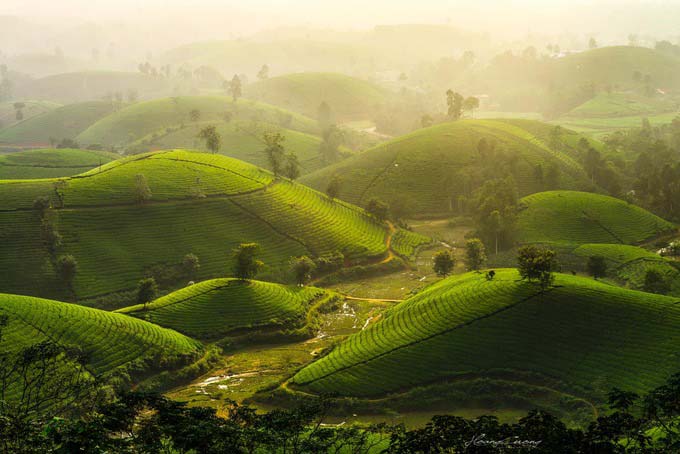 Stuff of dreams: stunning vistas of Long Coc tea hills