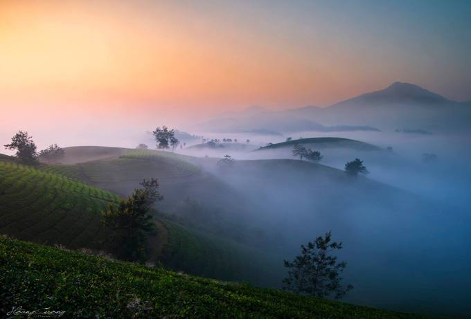 Stuff of dreams: stunning vistas of Long Coc tea hills