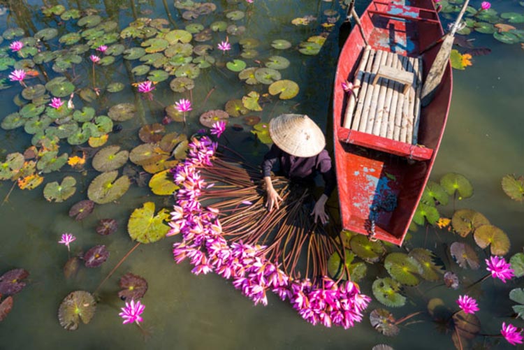 Vietnam’s Ninh Binh an unexpectedly popular destination to go for in 2019