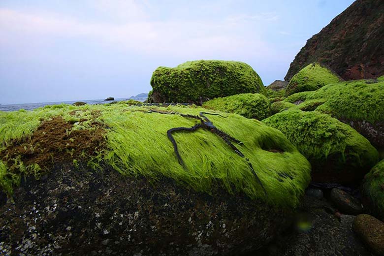 The unique moss-covered rocks of Eo Gio bay