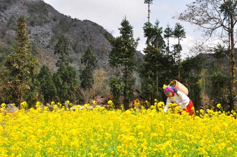 Ha Giang soars in popularity as 2019 travel destination