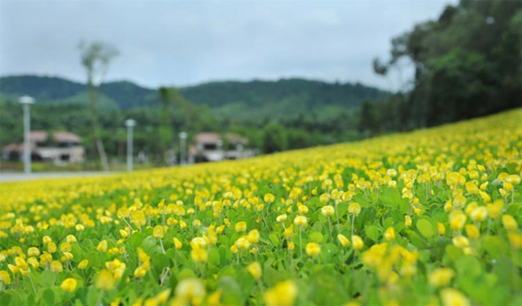 Phu Yen, Vietnam’s land of the rising sun