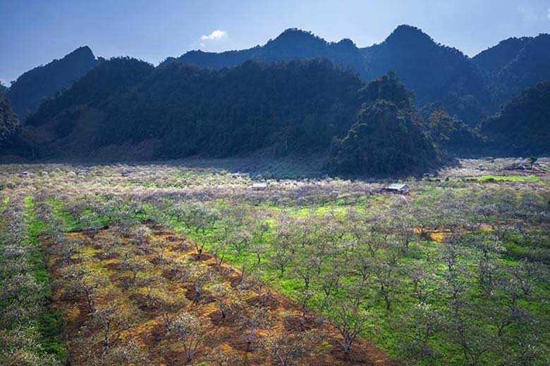 Flying over Vietnam: These shots are sure to take your breath away