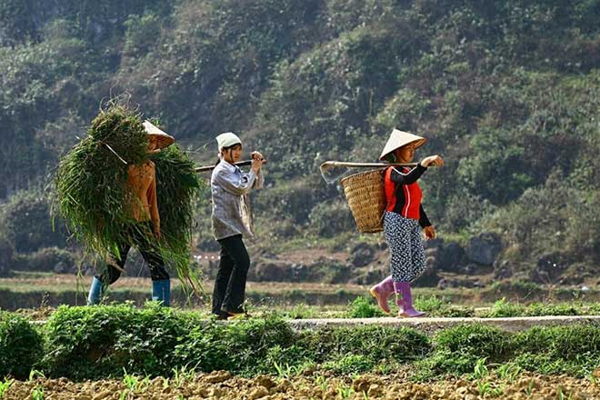 Ha Giang’s ample bosom nurtures its valleys, rivers