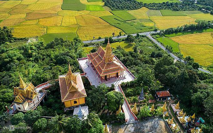 Mekong Delta’s rice paddies turn into riot of colors