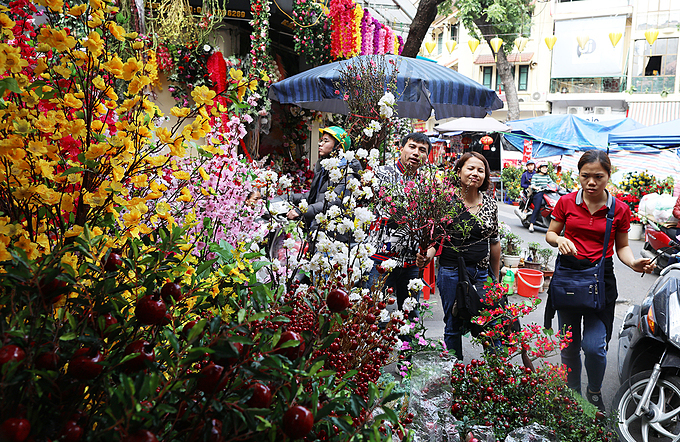 Hanoi's Old Quarter doused in typical Tet flamboyance