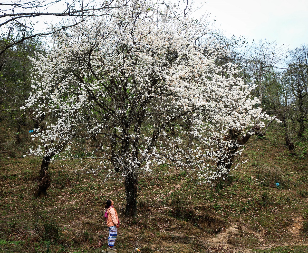 Trekking northwestern Vietnam’s 2,860 m Lao Than peak